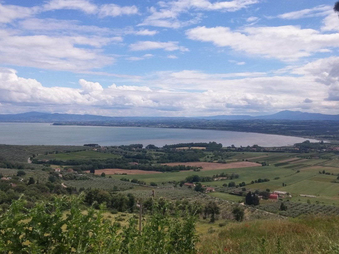 Castello di Montegualandro-Tuoro sul Trasimeno必去景点