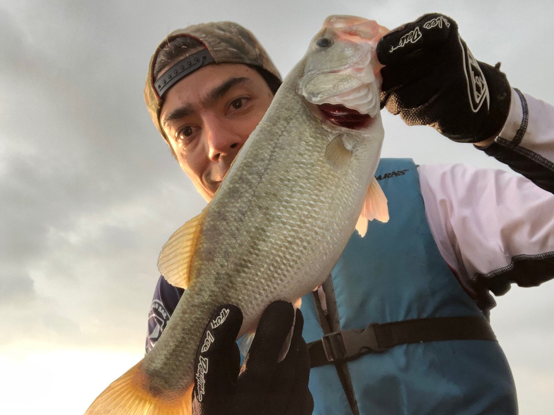 Jonathan Walker-Chapala必去景点