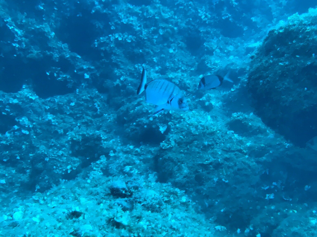 Achilleon Diving Center-Paleokastritsa必去景点