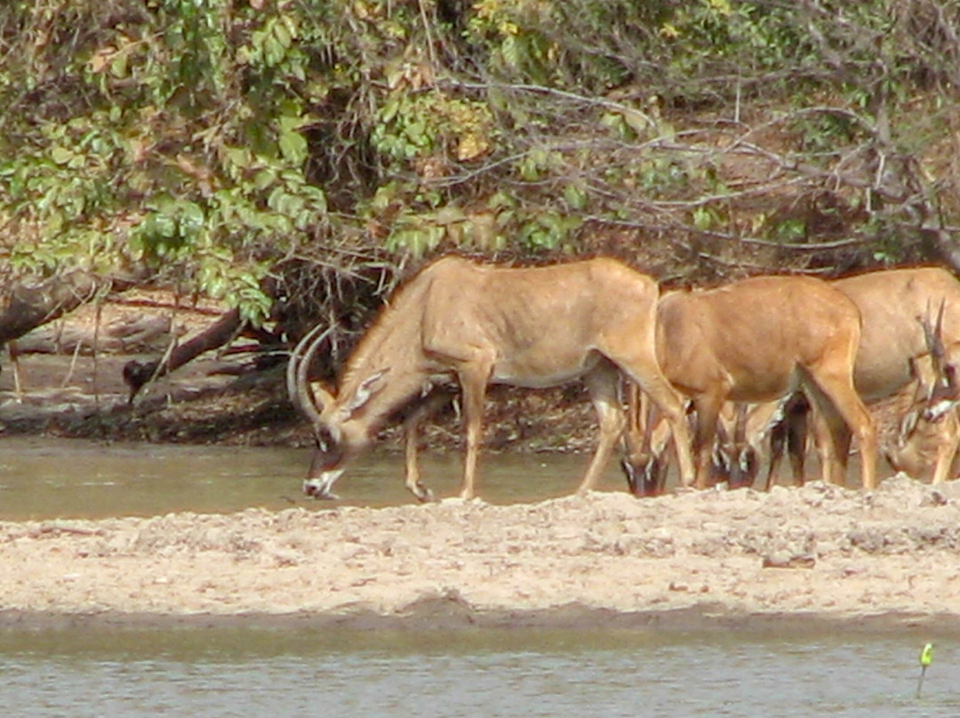 Reserve de Nazinga-瓦加杜古必去景点