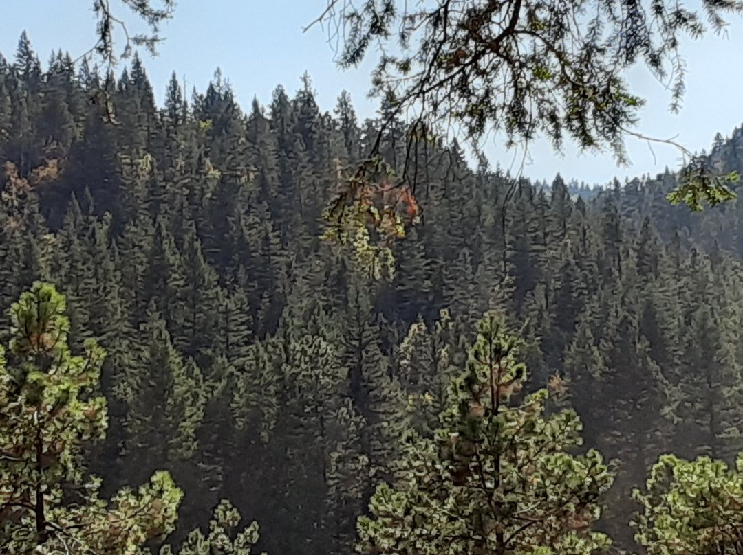 Bluff Springs-Cloudcroft必去景点