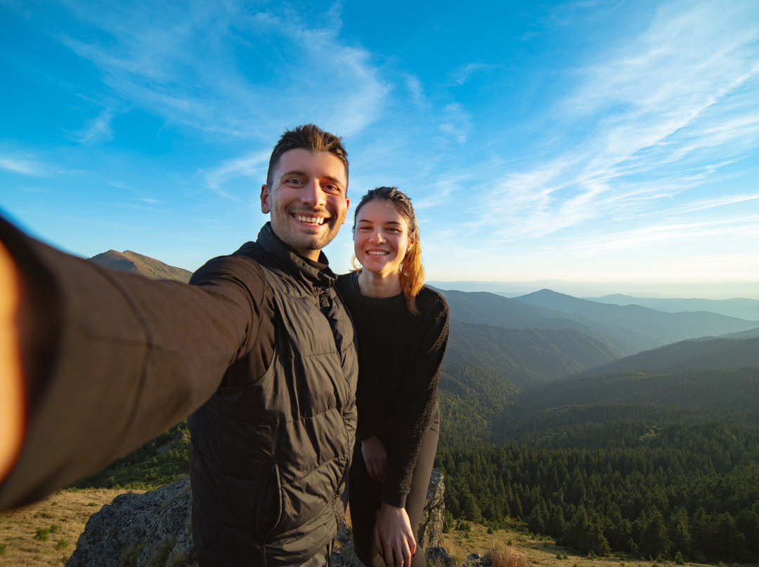 Mansfield Bushwalks-曼斯菲尔德必去景点