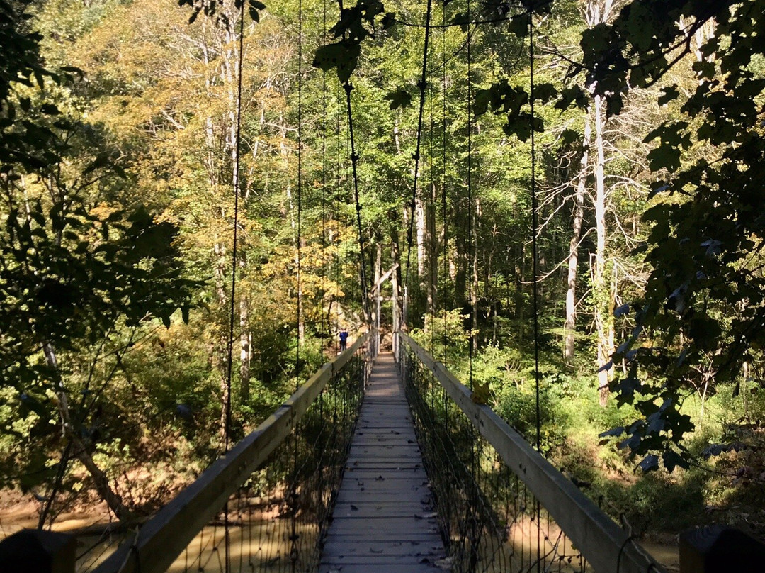 Hiking Red River Gorge景点图片