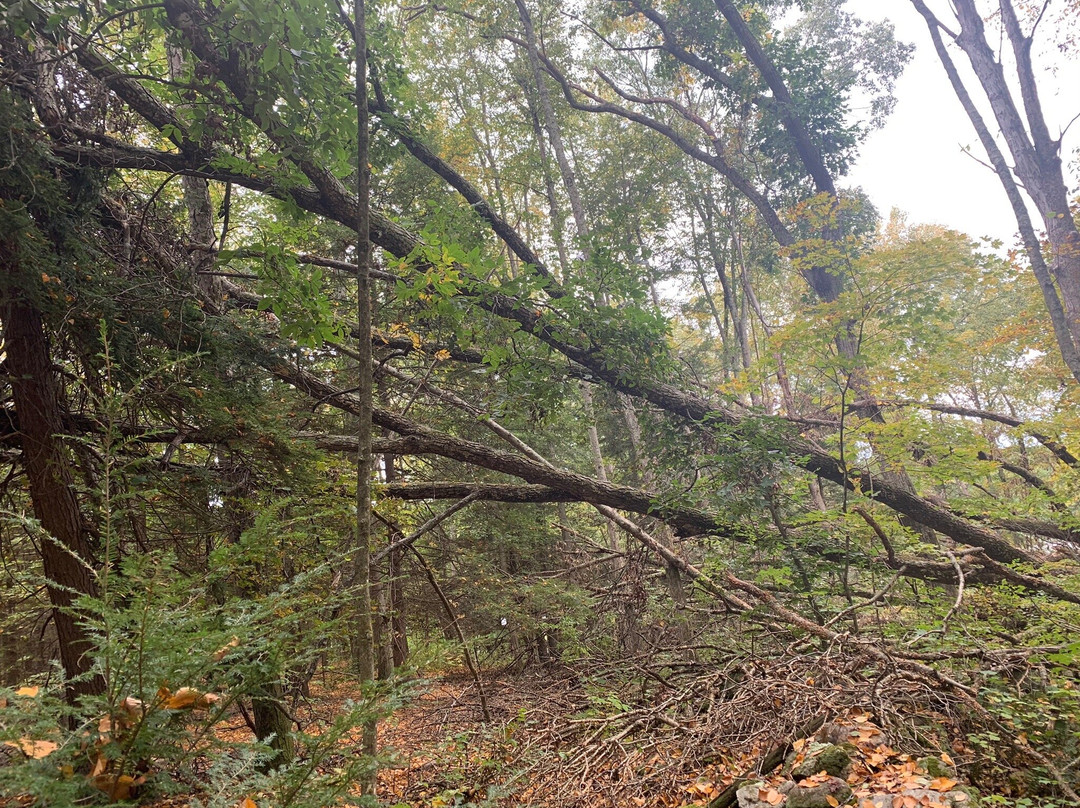 George C. Waldo State Park