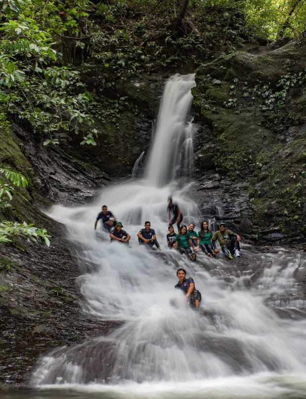 Ulu Temburong National Park景点图片