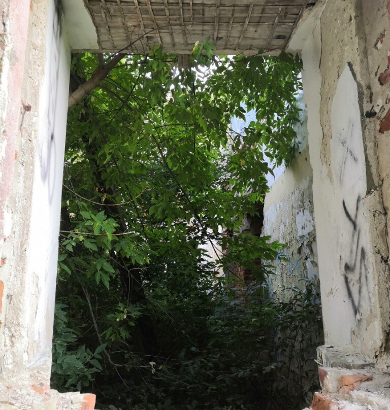 Smolensk Church景点图片