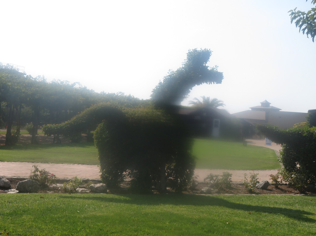 Concannon Vineyard-利佛摩必去景点