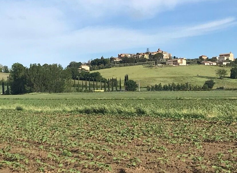 Castello delle Forme di Marsciano景点图片
