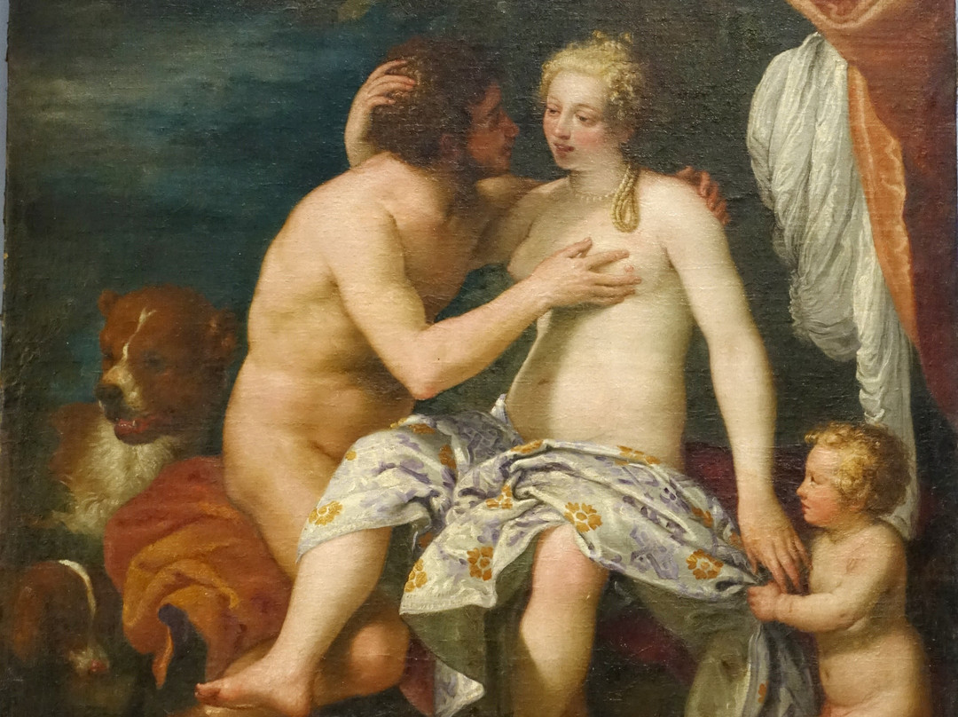 Musée d’Art et d’Archéologie du Périgord景点图片