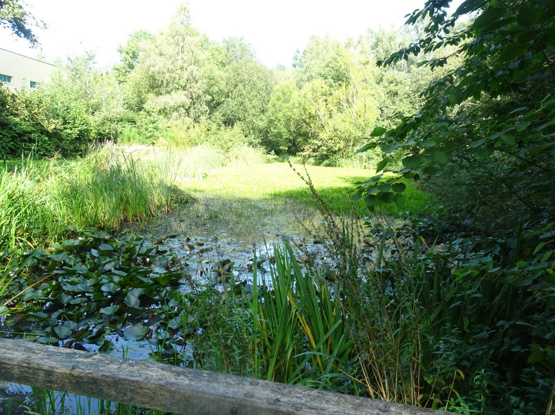 Denso Marston Nature Reserve景点图片