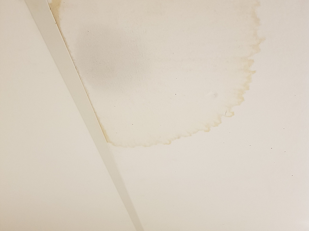 新罕布什尔州菲尔特纽伦堡酒店主图
