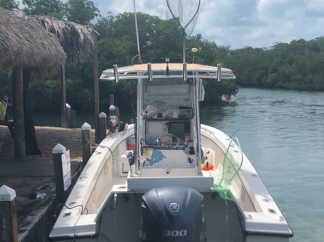 Knee Deep Charters-基韦斯特必去景点