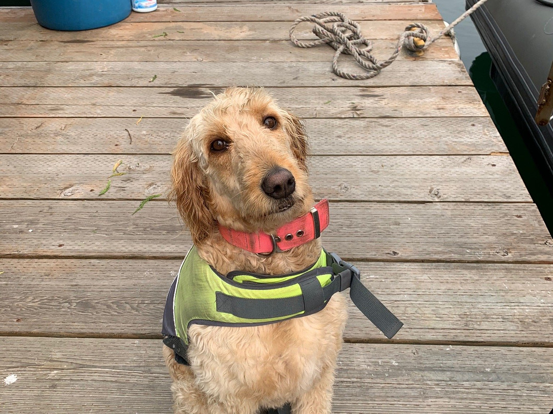 Whale Research EcoExcursions-Depoe Bay必去景点