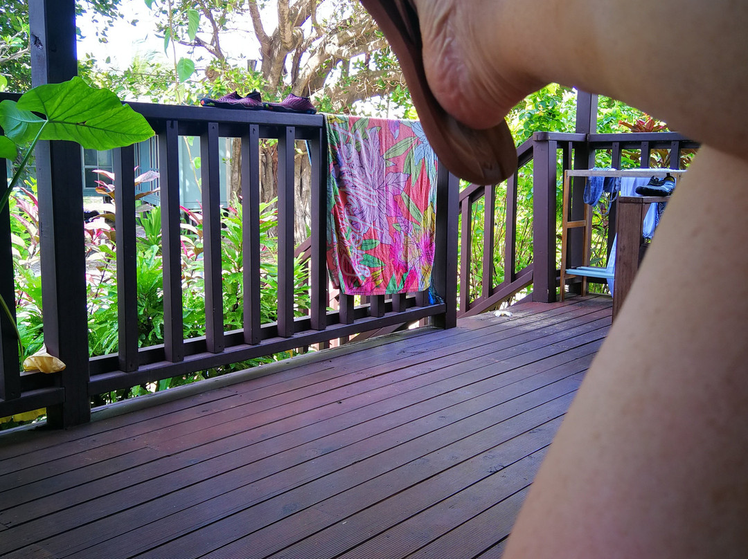 Cocos Seaview Apartments主图