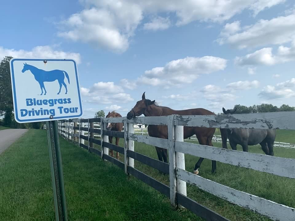 Kentucky Scenic Byway-列克星敦必去景点