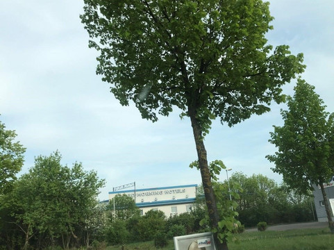 爱尔福特早安酒店主图