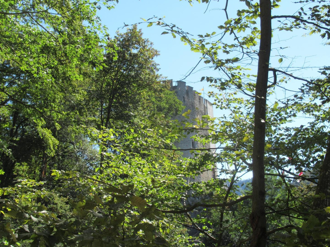 Burg Thierstein-Busserach必去景点