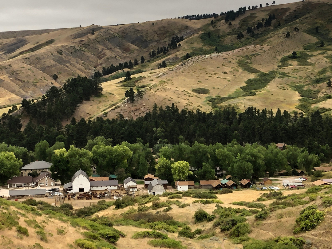 Wolf旅游攻略图片