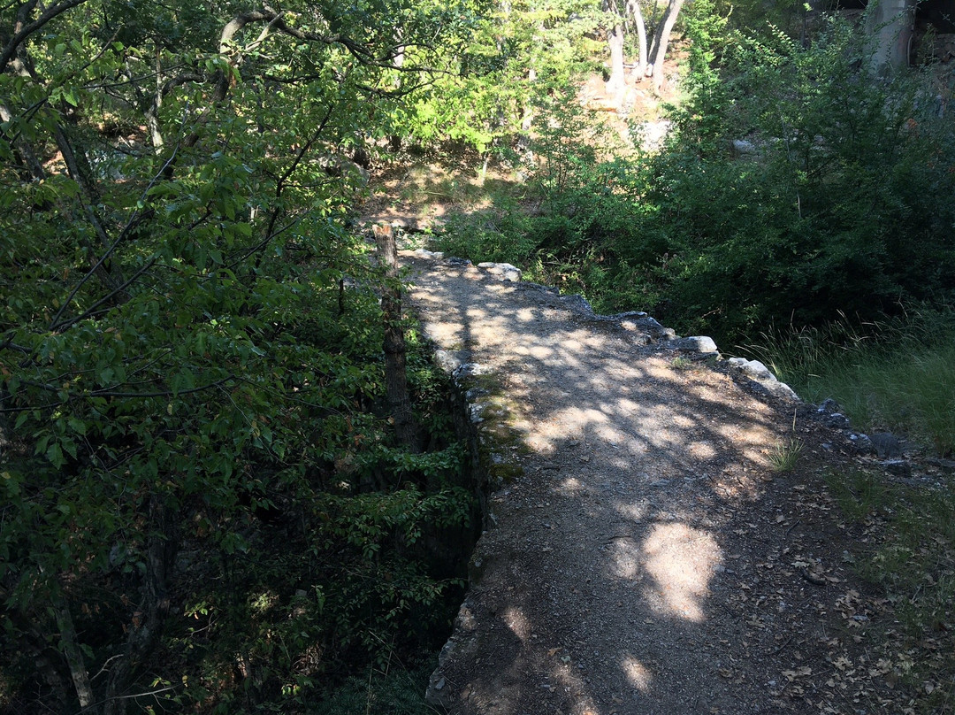 Tsar's Path-Livadiya必去景点