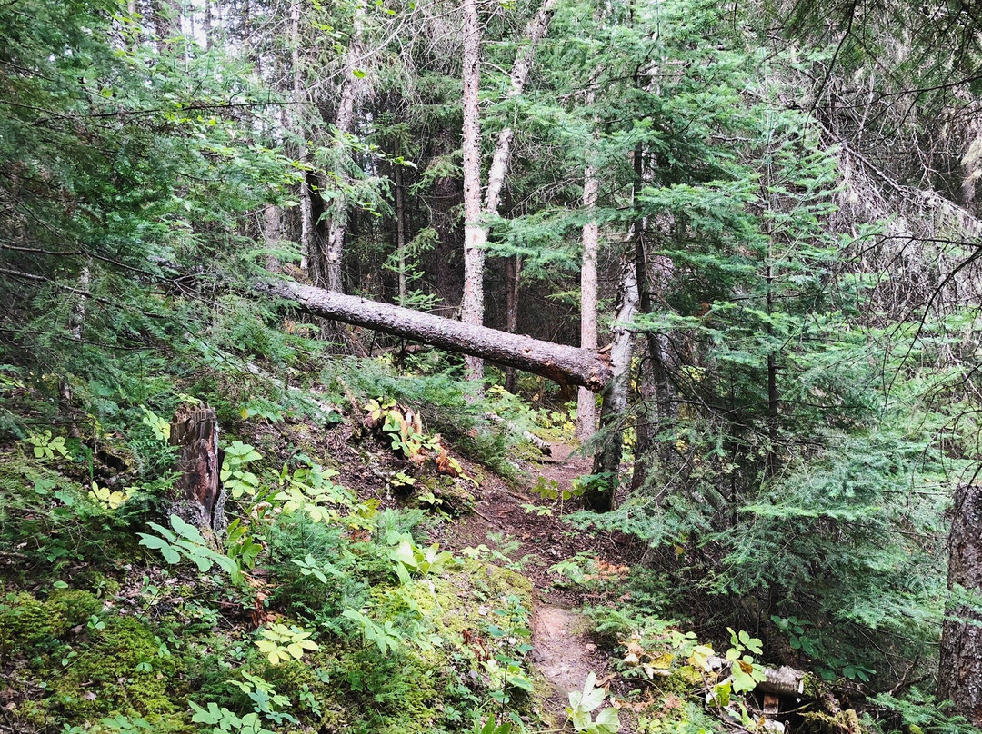 Duck Mountain Provincial Park-曼尼托巴省必去景点