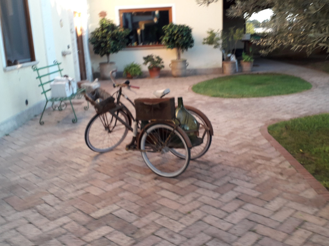 La Chora Di Paestum主图