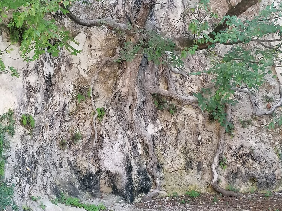 Castello Di Prata Sannita景点图片
