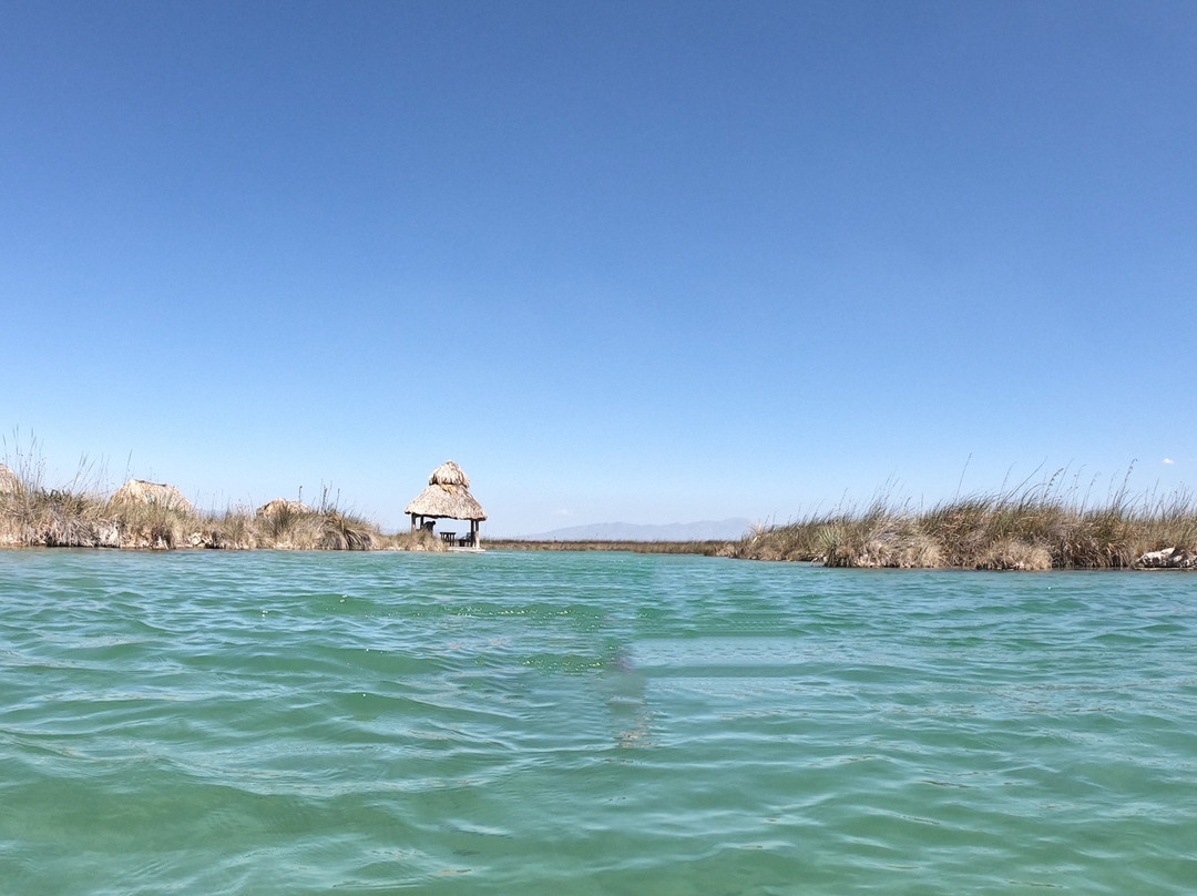 Rio Los Mesquitez景点图片