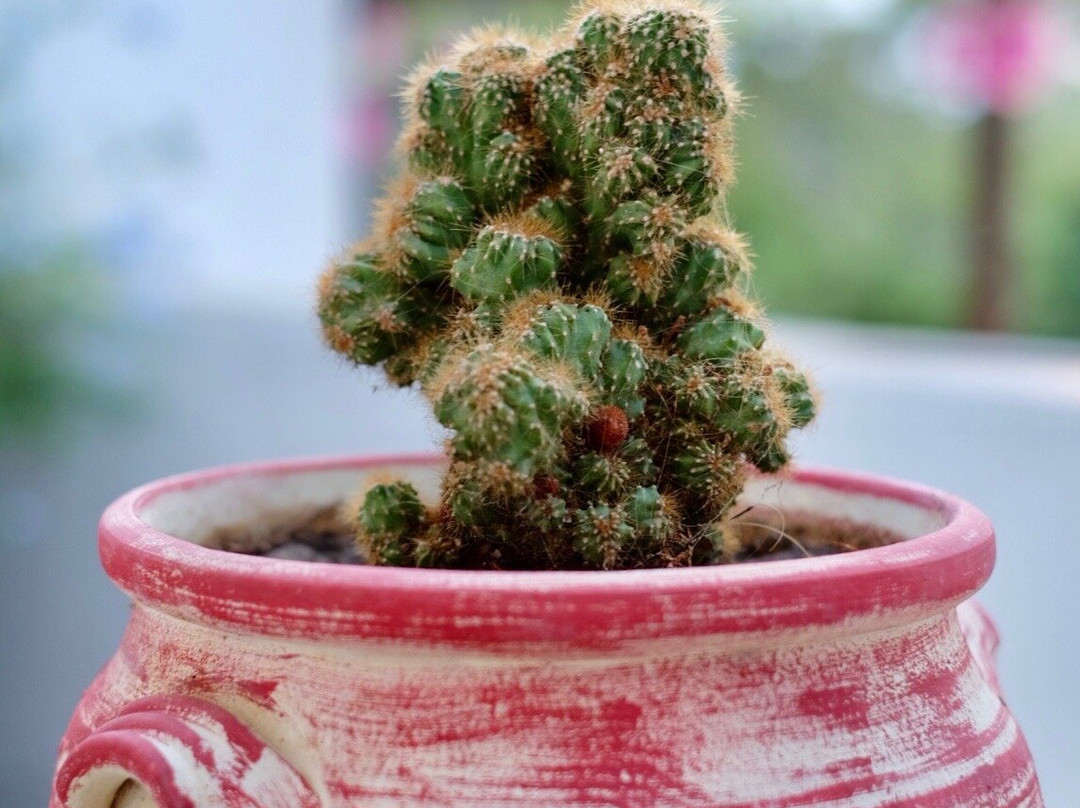 Hotel Efrosini主图