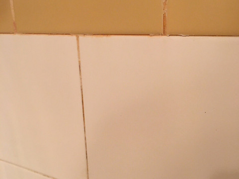 Lodge de la Montagne主图