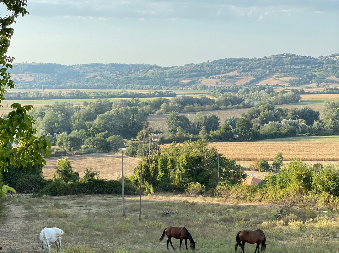 Agriturismo Monterone主图