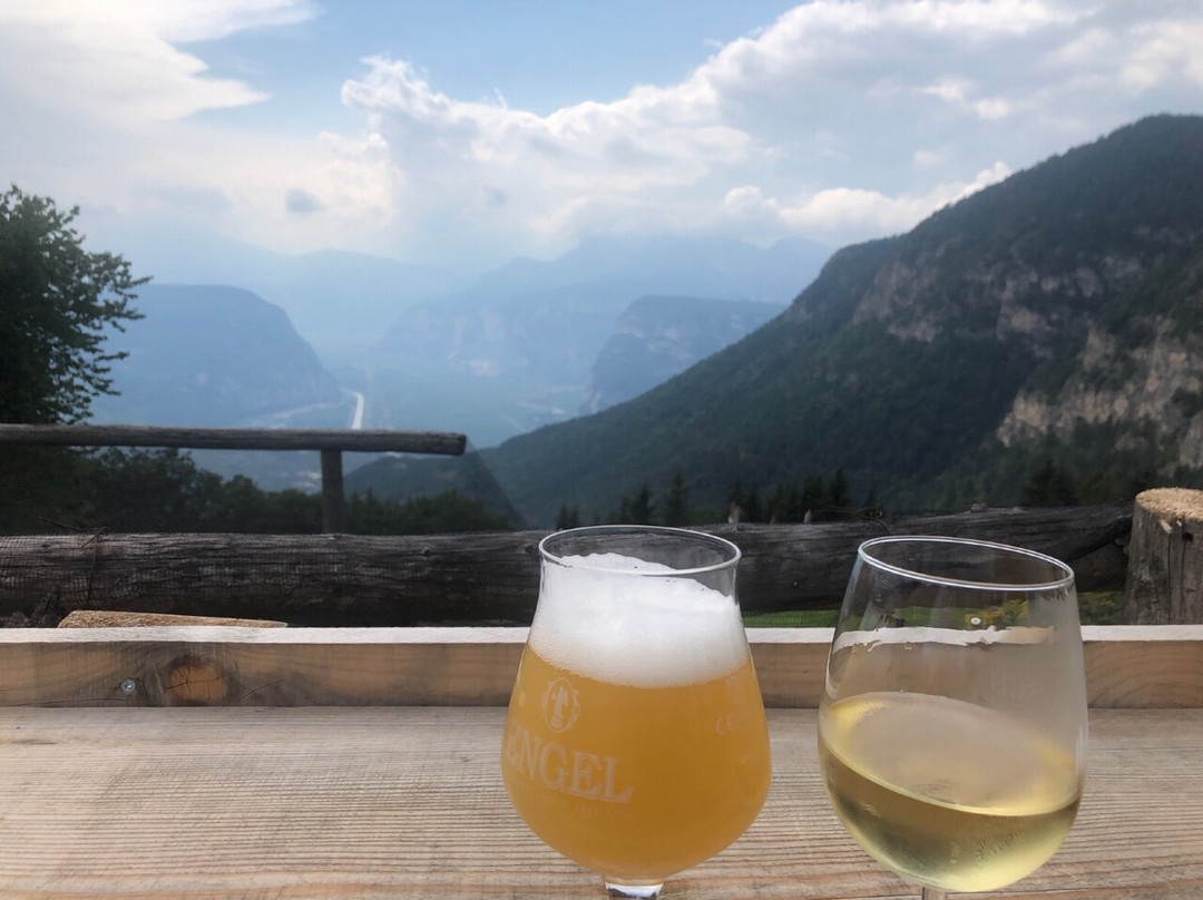 Fichtenhof Pension and Restaurant主图