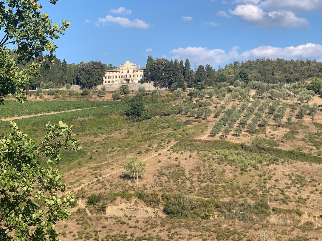Villa  Vistarenni主图