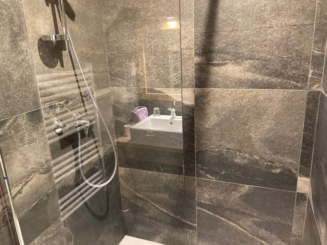 Hotel Le Glacier Des Evettes主图