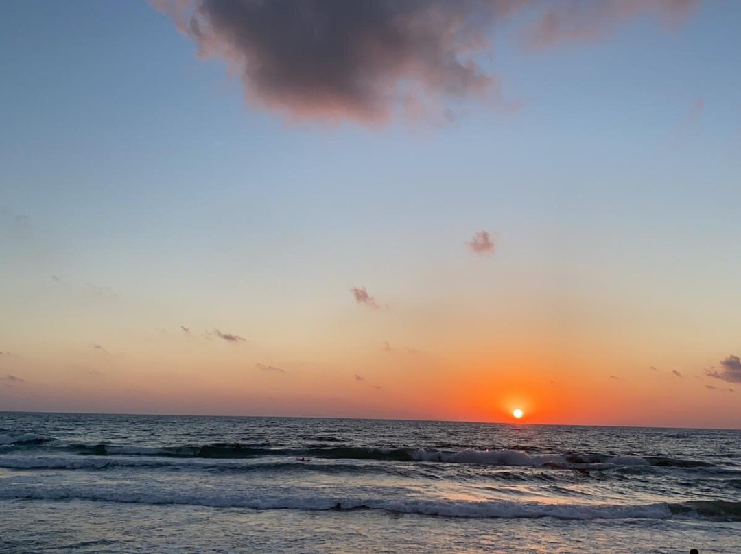 Dado Beach-Haifa必去景点
