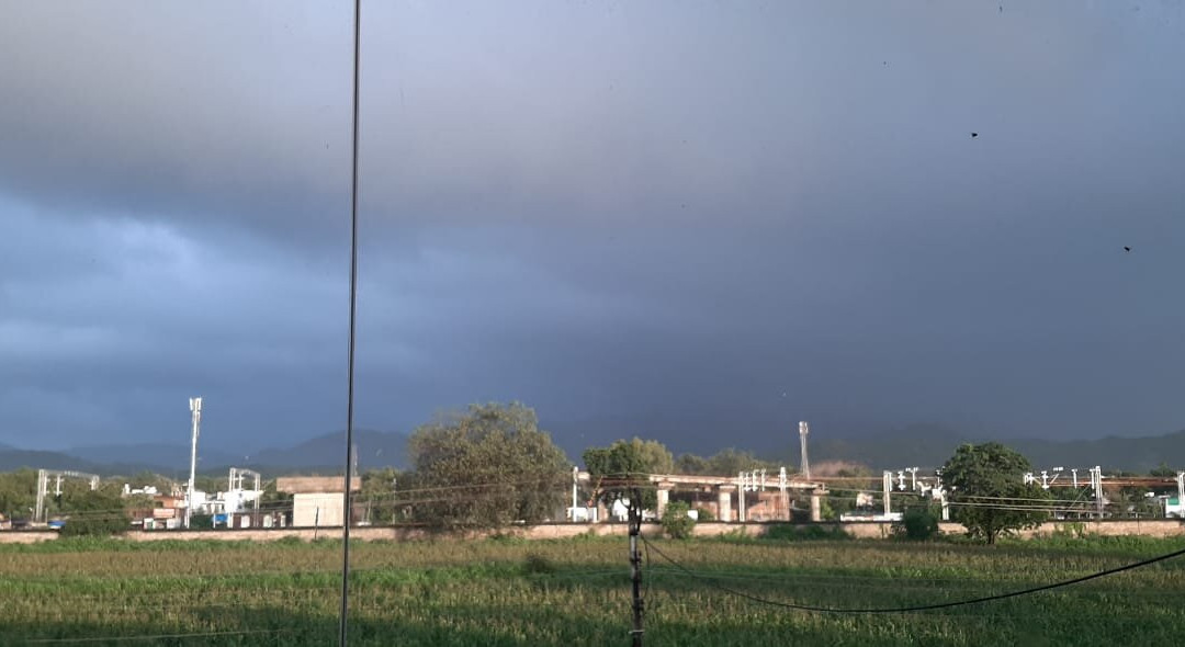 Hotel Savera Palace主图