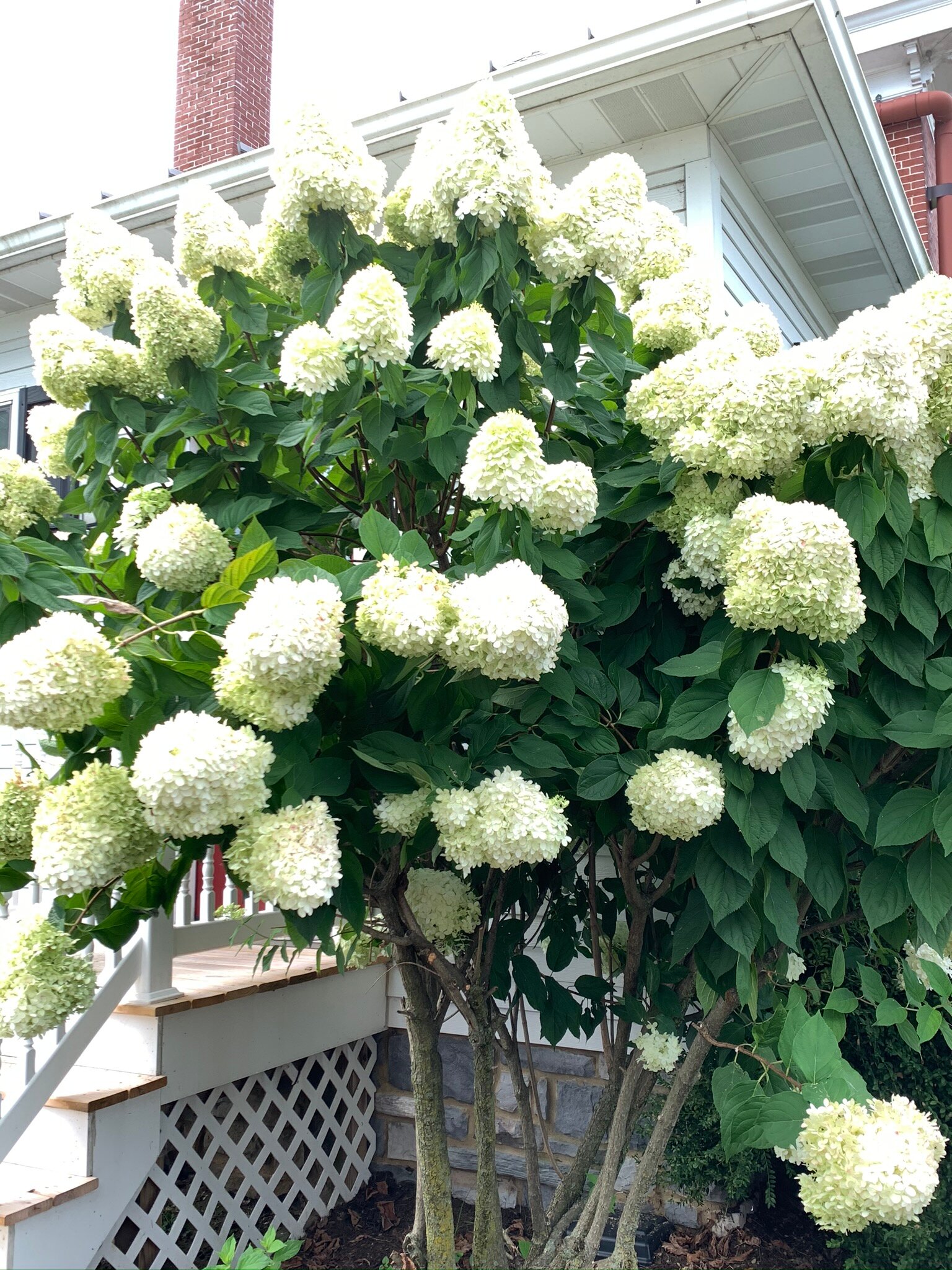 Walnut Lawn B&B-浴室