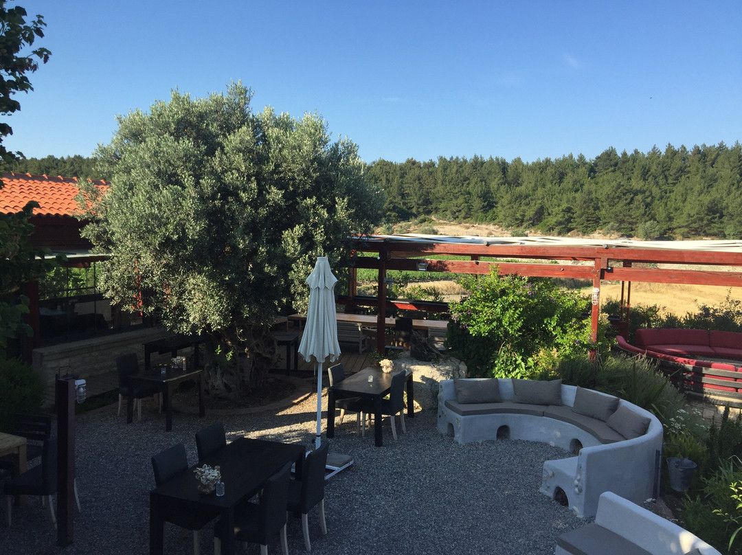 Urla Bagevi Vineyard Restaurant