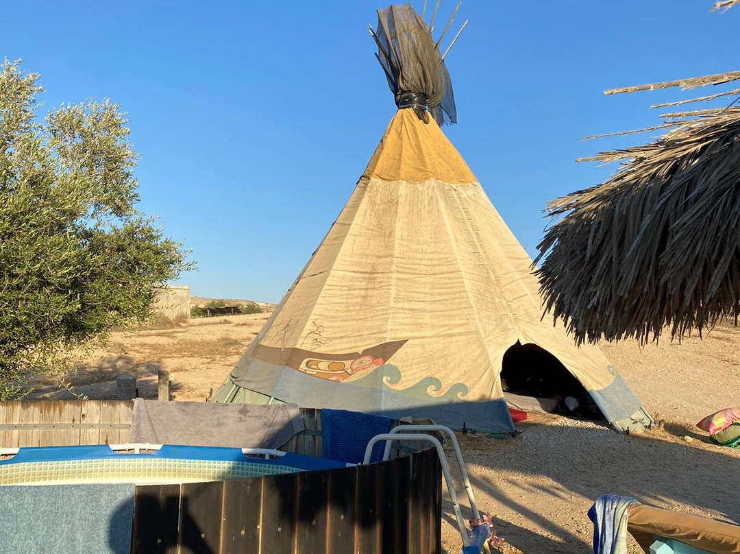 The Desert Olive Farm主图