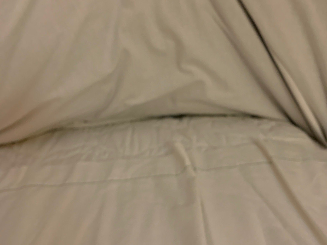 Americas Best Value Inn主图