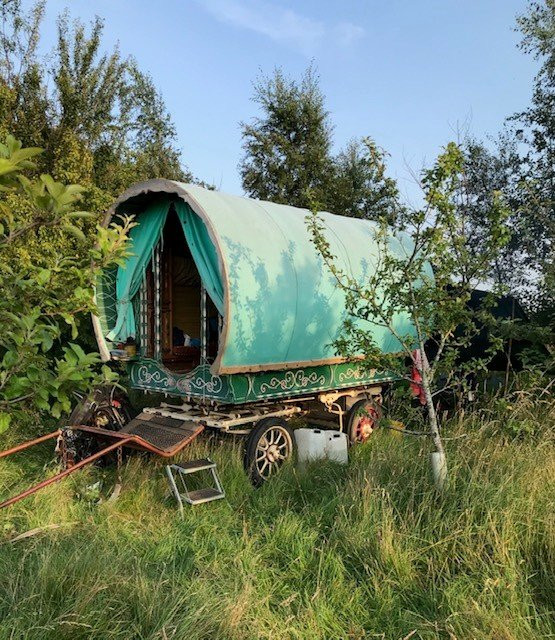 Wanderlusts Gypsy Caravans景点图片