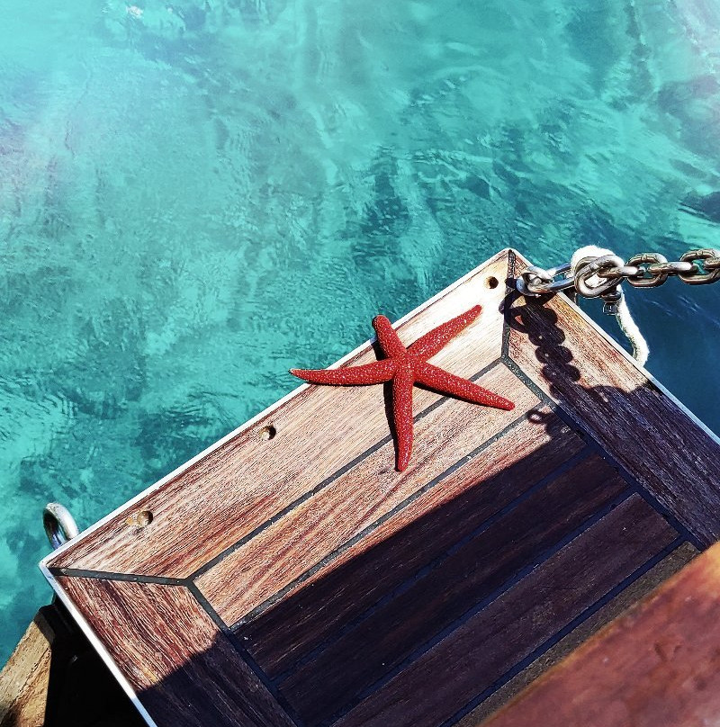 Ena Boat Tours by Mythical Adventures景点图片