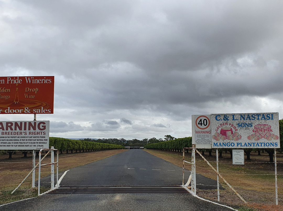 Golden Drop Mango Winery-Biboohra必去景点