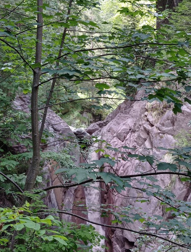 Passeggiata - Sappade - Cascata delle Barezze (Falcade)景点图片