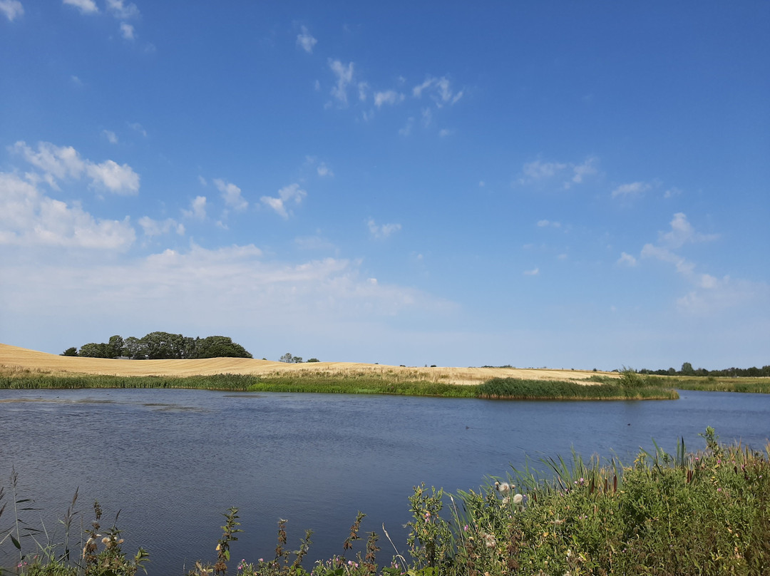 Næsholm Borgruin-Hoejby必去景点