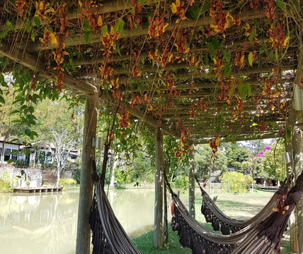 加里奥农庄主图