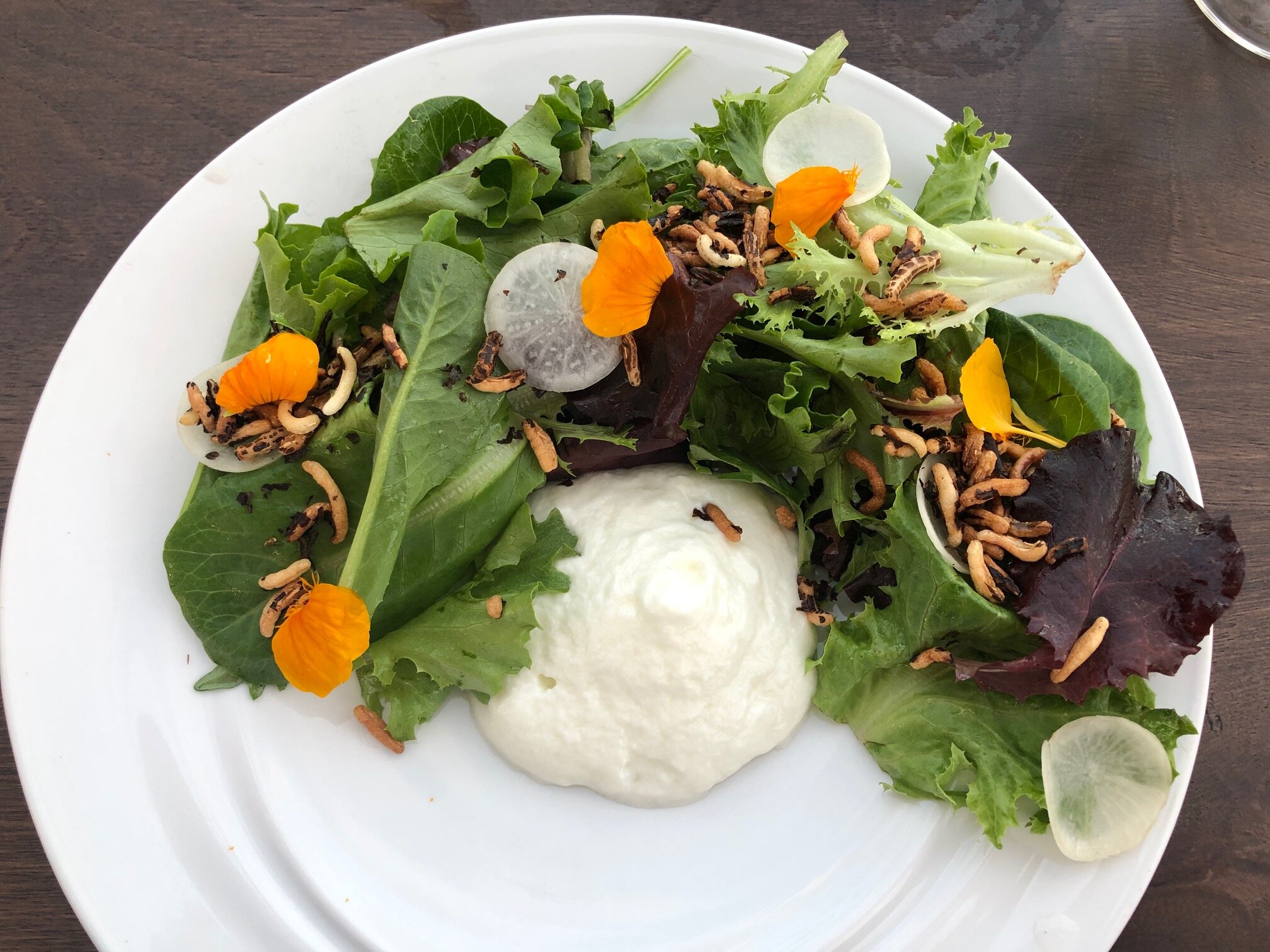 Black Walnut Inn & Vineyard-餐饮