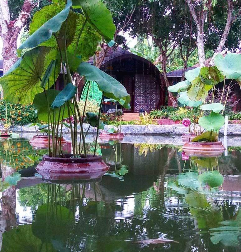 Con Khuong Resort Can Tho主图