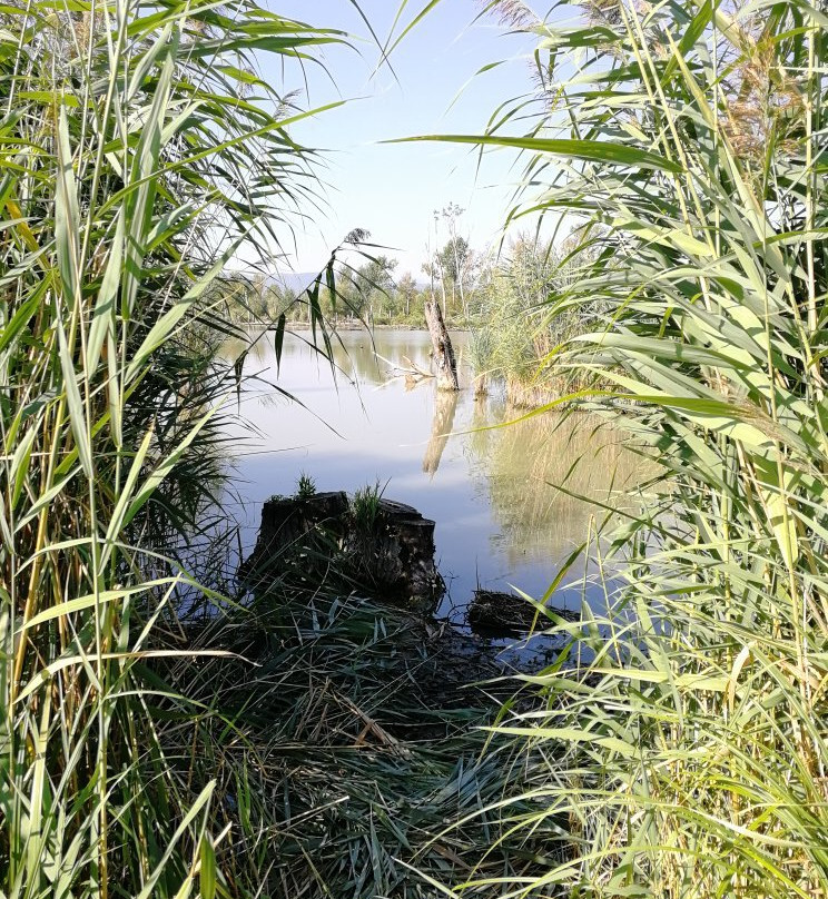 Riserva Naturale Lago di Montepulciano-蒙特普尔恰诺必去景点