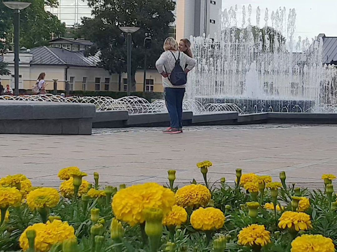 Musical Fountain-德鲁斯基宁凯必去景点