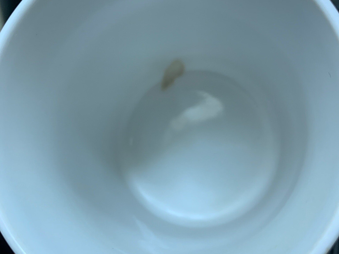 The Ponderosa Motel主图